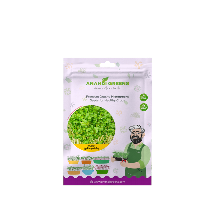 Radish (मूली माइक्रोग्रीन) Microgreens Seeds – original Anandi Greens packet on white background