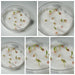 Red Capsicum F1 Hybrid Seeds - original seed germination collage