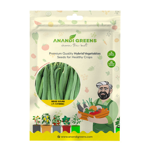 Anandi Greens Ridge Gourd F1 Hybrid Seeds seed packet front