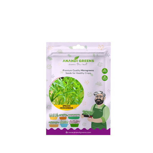Spinach (पालक माइक्रोग्रीन) Microgreens Seeds – original Anandi Greens packet on white background