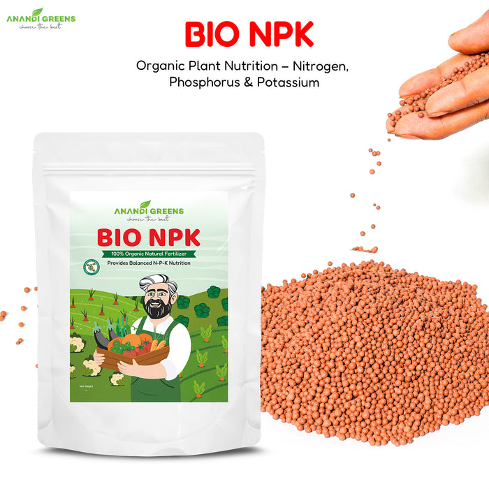 Bio NPK granules applied around vegetable plants in soil