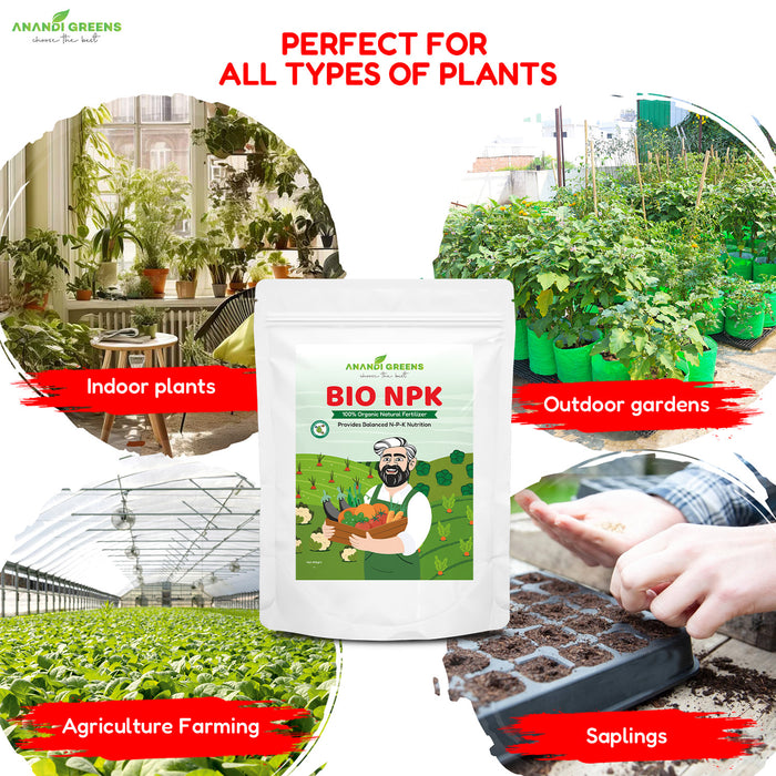 Bio NPK granules organic fertilizer mixed into potting soil – bio fertilizer for grow bags with neem cake fertilizer