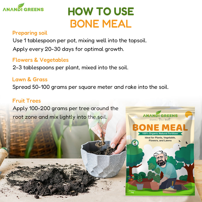 Applying bone meal organic fertilizer to flowering plants