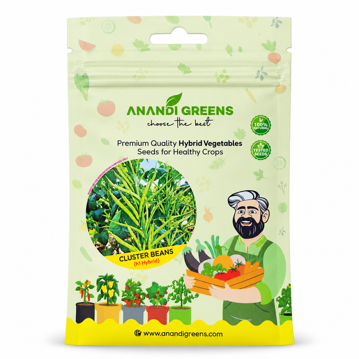 Anandi Greens Cluster Beans F-1 Hybrid Seeds packet