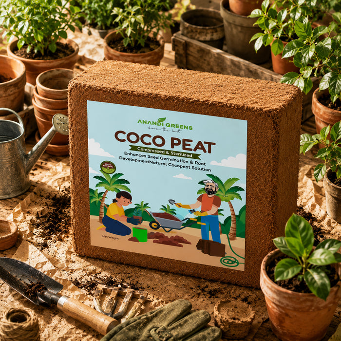 Cocopeat Low EC Brick 5Kg Premium 5KG Cocopeat Block for Gardening