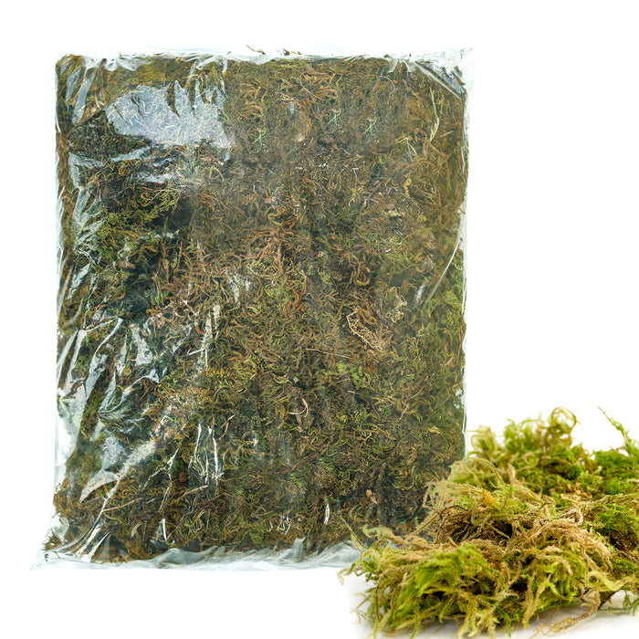 Natural dried moss grass 1KG front pack – Anandi Greens