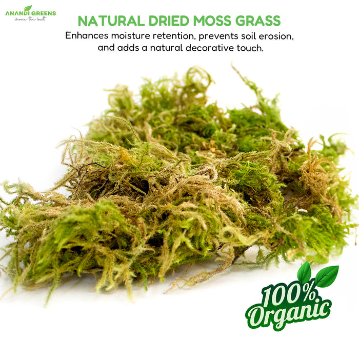 Dried moss grass back label – mulching and terrarium usage instructions