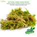 Dried moss grass back label – mulching and terrarium usage instructions