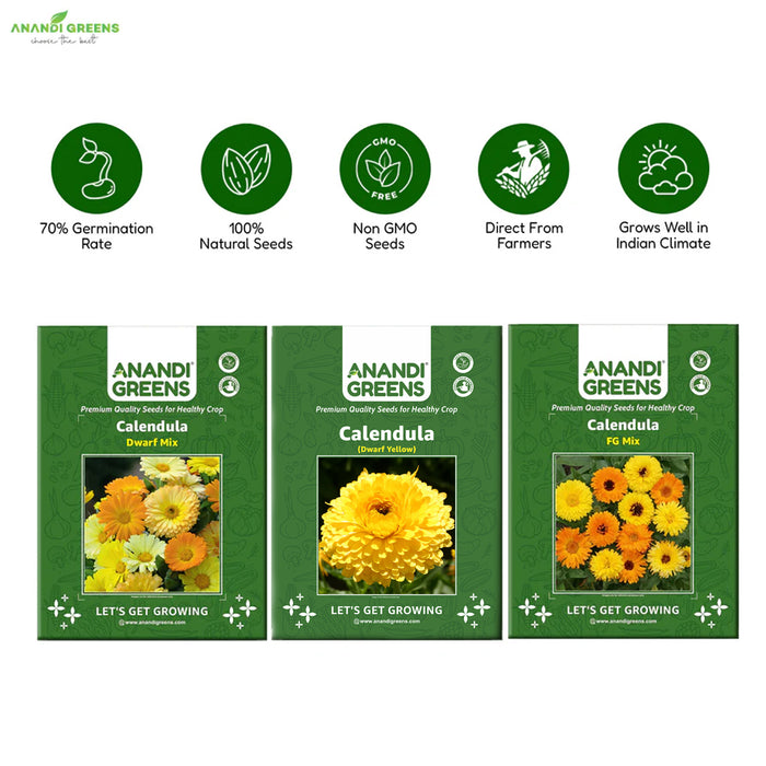 3-in-1 Calendula Seeds Combo Pack