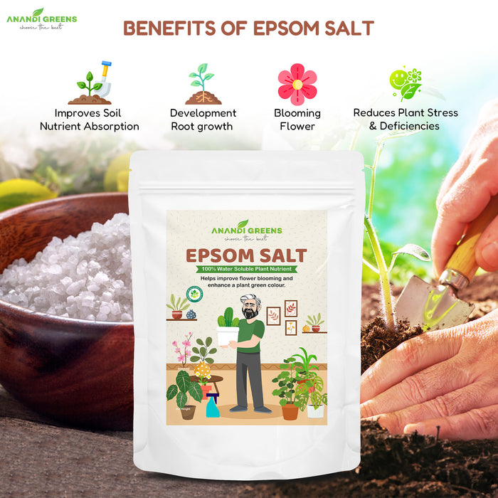 Epsom salt dissolved in water ready for foliar spray application