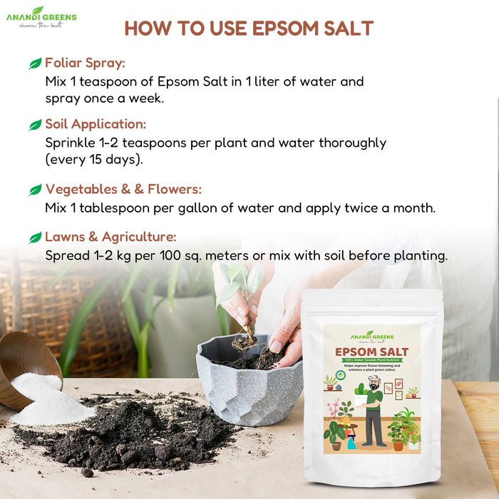 Treating plant magnesium deficiency (yellowing leaves) with Epsom salt solution