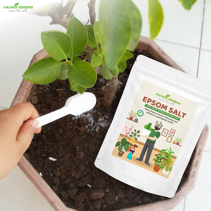 Treating yellowing leaves with Epsom salt – always combine with organic fertilizer, bio fertilizer & neem cake fertilizer