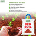 Garden red soil 1kg 5kg 10kg pack variants – natural pesticide free mineral soil – Anandi Greens
