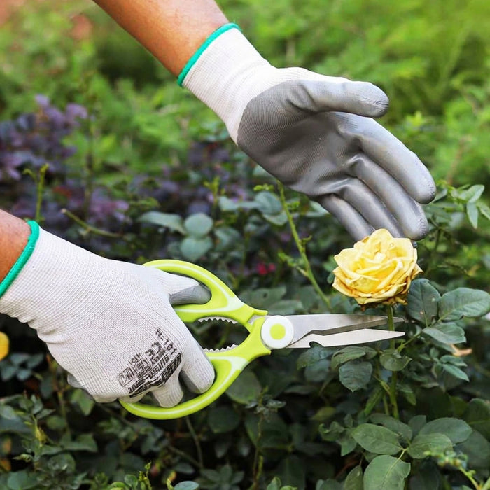 garden-scissor-gardenin-tool