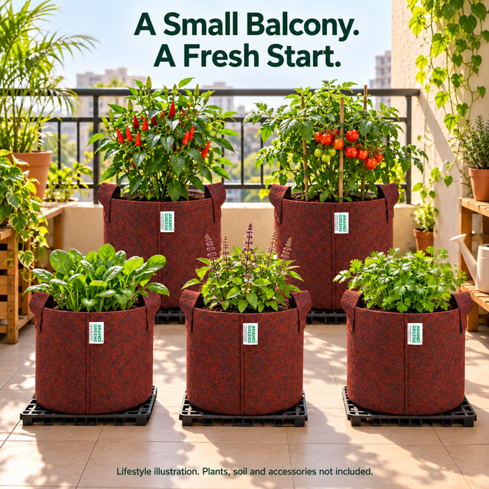 Anandi Greens Maroon Geo grow bag mixed size combo — balcony garden lifestyle illustration