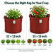 Anandi Greens 400 GSM Geo grow bag mixed size combo pack of 5 — crop guide