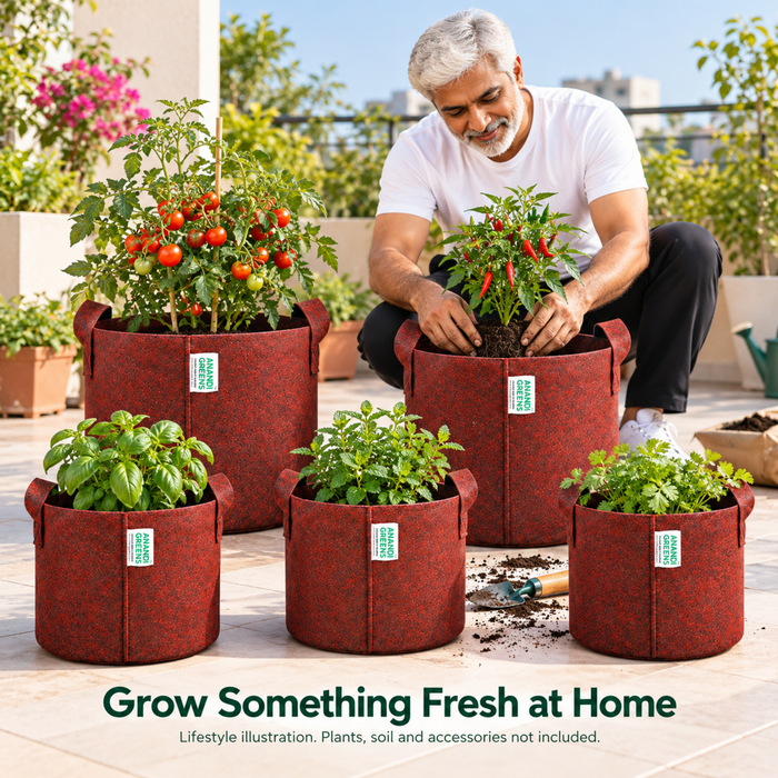 Anandi Greens 400 GSM Geo grow bag mixed size combo pack of 5 — human use
