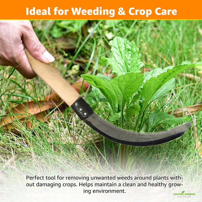 Using hand sickle for cutting grass easily with sharp serrated blade