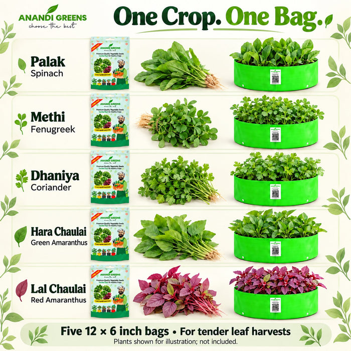 Anandi Greens leafy vegetable garden combo with 5 varieties in one combo pouch - image 4