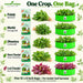Anandi Greens leafy vegetable garden combo with 5 varieties in one combo pouch - image 4