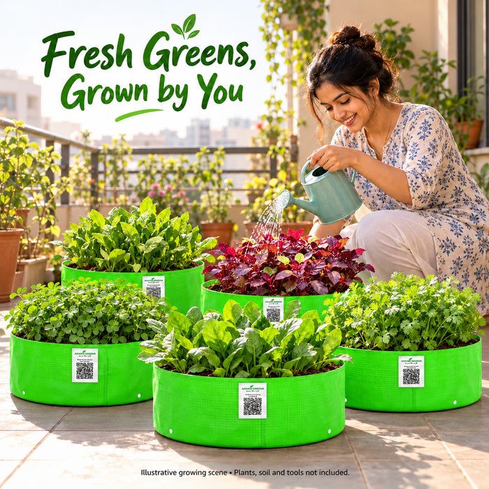 Anandi Greens leafy vegetable seeds and five 12x6 inch HDPE grow bags combo - human