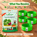 Anandi Greens leafy vegetable garden combo with 5 varieties in one combo pouch - image 2