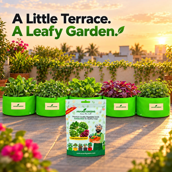 Anandi Greens leafy vegetable garden combo with 5 varieties in one combo pouch - image 7