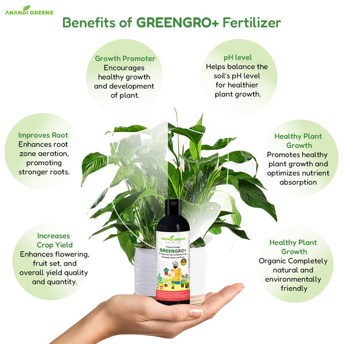 Foliar spraying Green Gro Plus on plant leaves for quick nutrient uptake