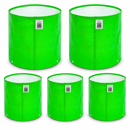 Anandi Greens Mixed Size Combo Pack of 5 — Main product