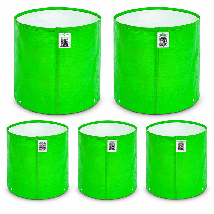 Anandi Greens Mixed Size Combo Pack of 5 — Main product