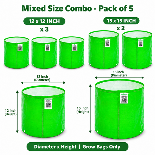 Anandi Greens Mixed Size Combo Pack of 5 — Sizes and quantities
