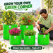 Anandi Greens Mixed Size Combo Pack of 5 — Human planting