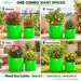 Anandi Greens Mixed Size Combo Pack of 5 — Use in different spaces