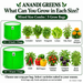 Anandi Greens mixed combo — suitable crops by grow bag size, English guide