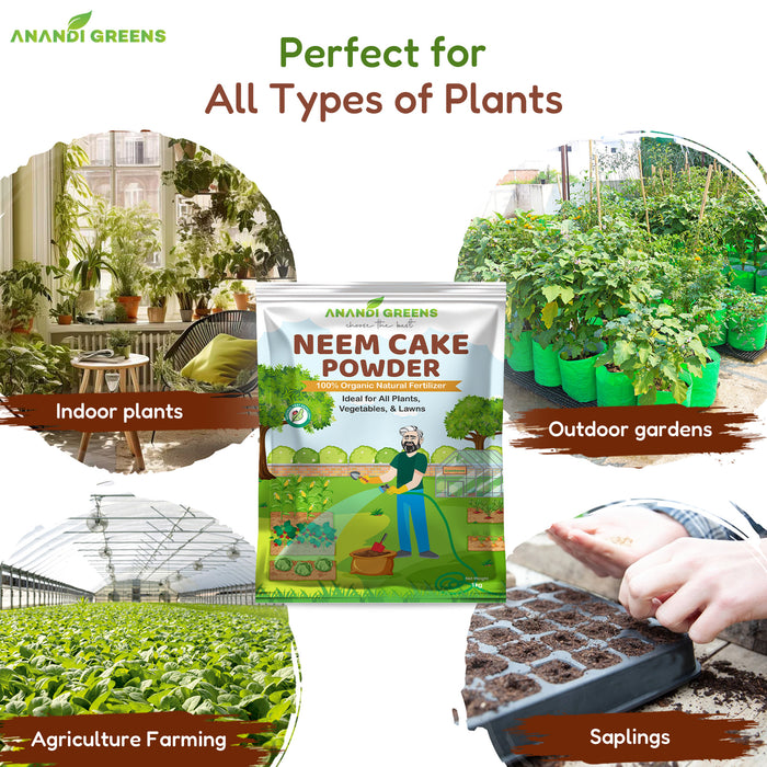 Neem cake fertilizer protecting plant roots from soil pests