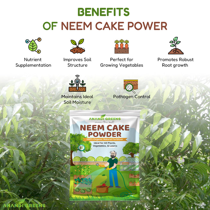 Neem cake powder being mixed into soil for plant conditioning