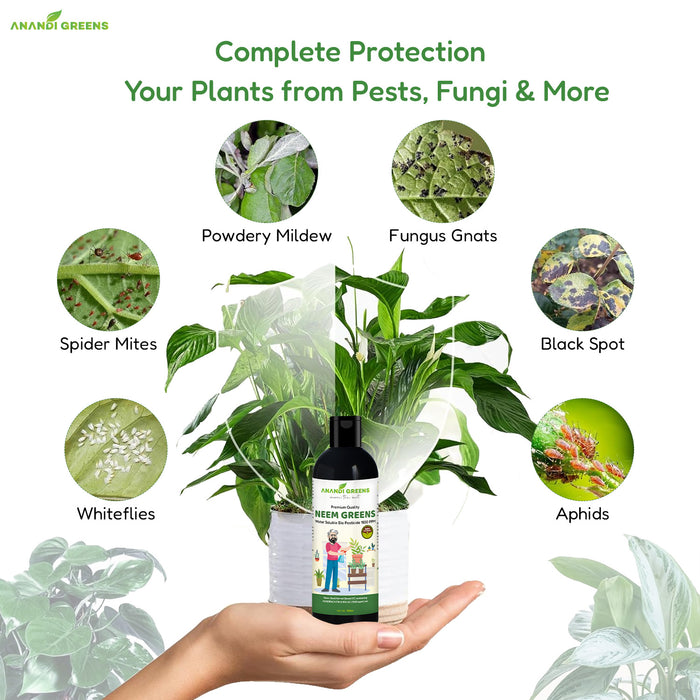 Neem oil 1500 PPM controlling aphids on vegetable plants