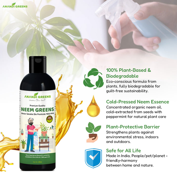 Spraying neem oil on plant leaves to control pests and fungi