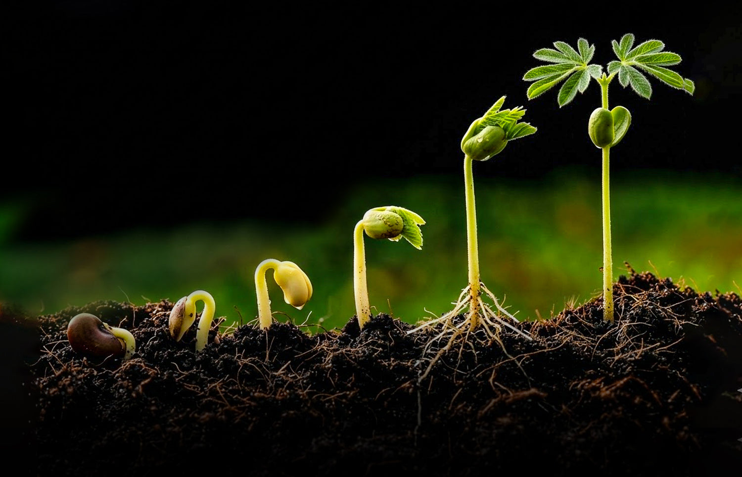 The Impact of Your Work