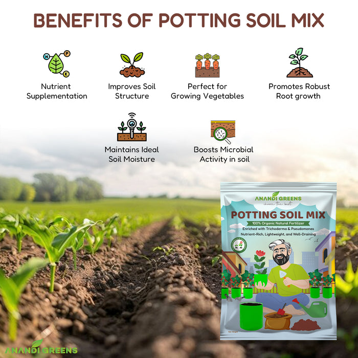 Close-up of organic potting mix showing vermicompost, cocopeat and perlite components