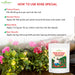 Rose plant with vibrant large blooms after rose mix fertilizer application