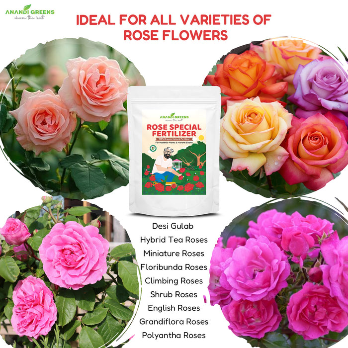 Rose mix fertilizer suitable for all rose varieties – hybrid, climbing, miniature