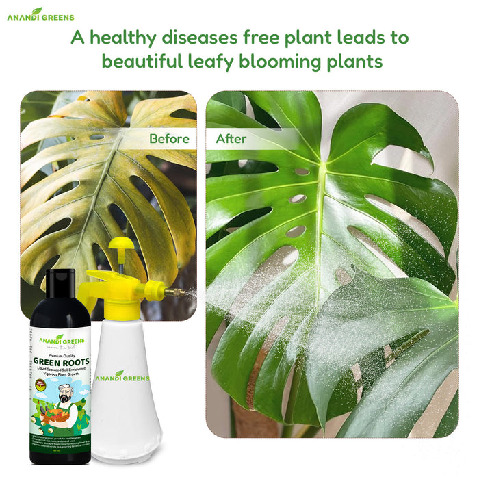 Seaweed extract organic fertilizer bottle front – bio fertilizer for plant growth – Anandi Greens