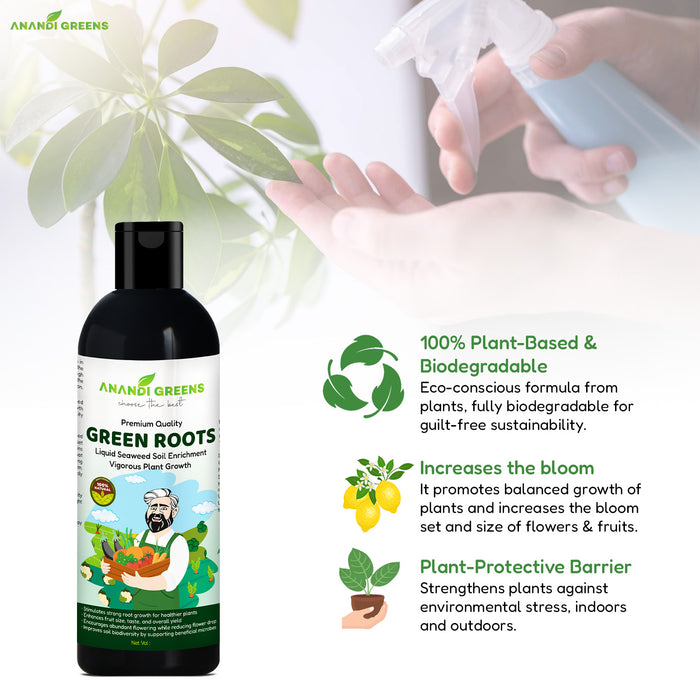 Applying seaweed extract liquid fertilizer to garden plants