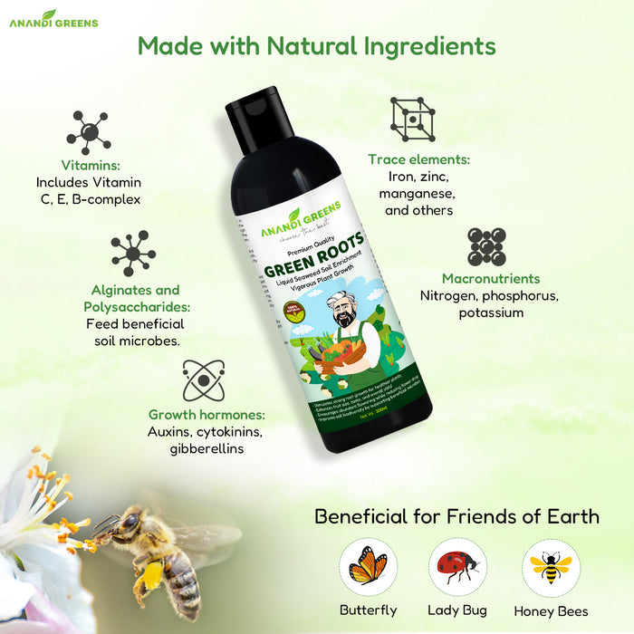 Foliar spraying seaweed extract on plant leaves for stress resistance