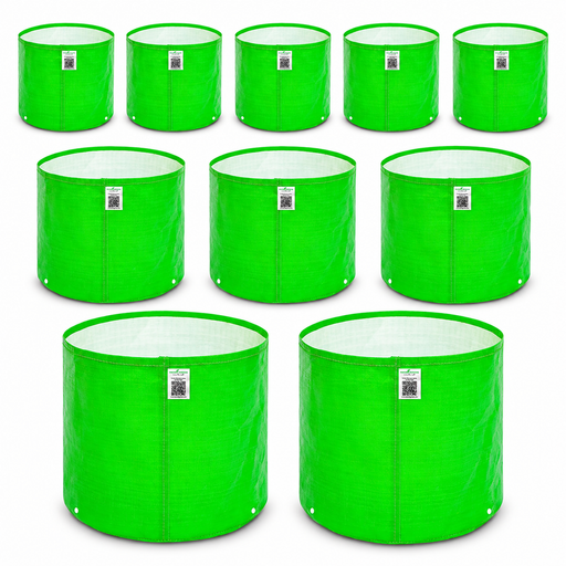 Anandi Greens Terrace Combo Pack of 10 — Main product