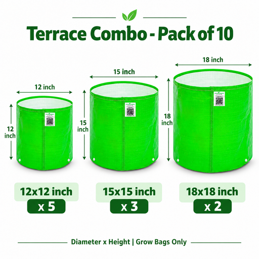 Anandi Greens Terrace Combo Pack of 10 — Sizes and quantities