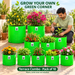 Anandi Greens Terrace Combo Pack of 10 — Human planting