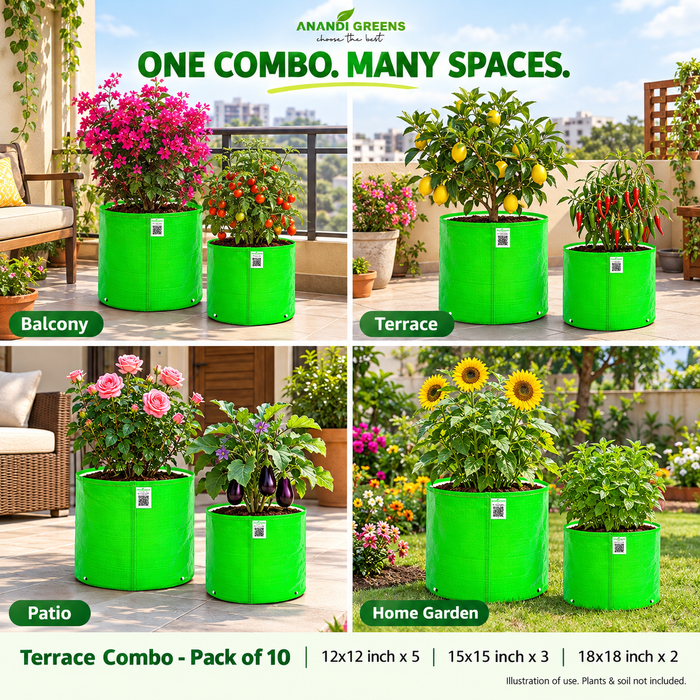 Anandi Greens Terrace Combo Pack of 10 — Use in different spaces