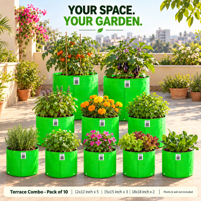Anandi Greens Terrace Combo Pack of 10 — Terrace garden